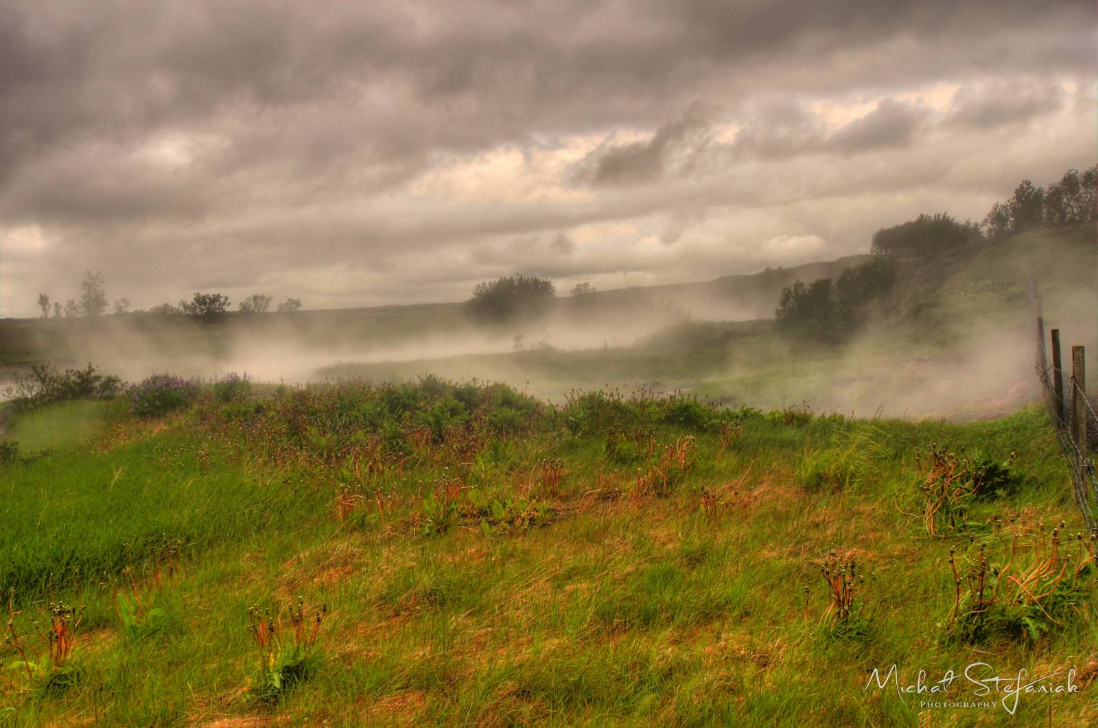 026 IMG 2246 7 8Enhancer